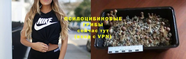 марки nbome Козловка