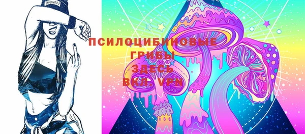 стафф Козельск