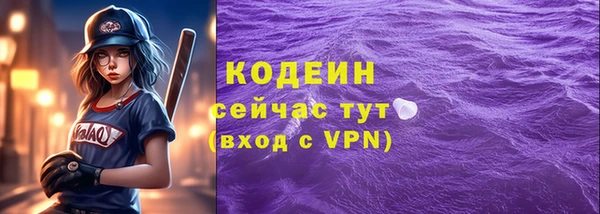 прущий лед Кодинск