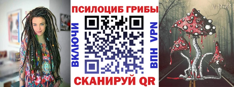 Галлюциногенные грибы Psilocybine cubensis  Покров 