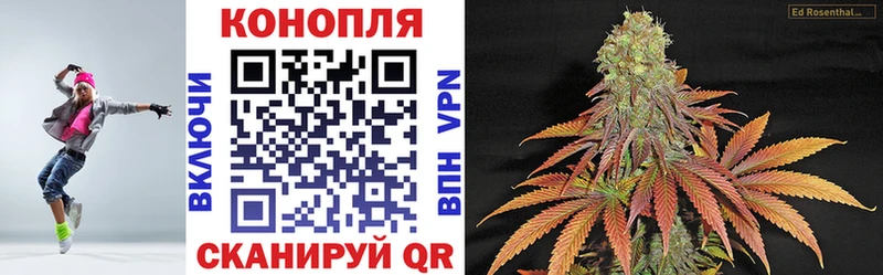 Шишки марихуана план  купить  цена  Покров 